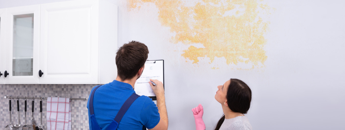 Mold Testing & Inspection in Orlando, FL - AQA