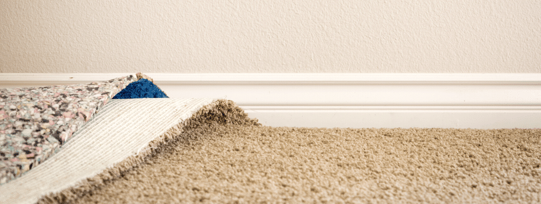 carpet-mold-damage