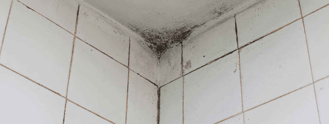 bathroom-ceiling-mold