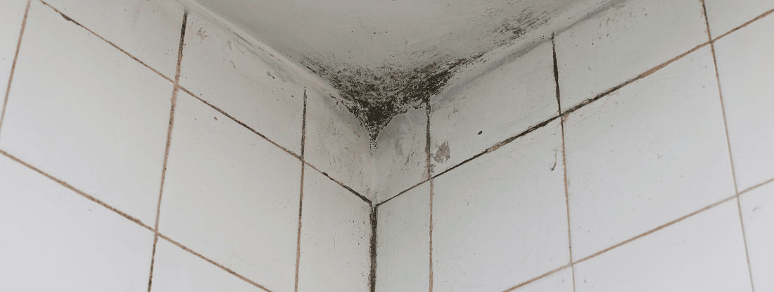 Why Is There Black Mold on My Bathroom Ceiling? - Mold Medics