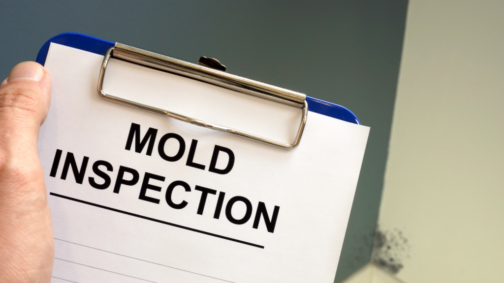 mold inspection