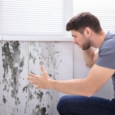 mold-in-home